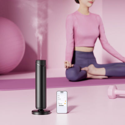 ভালো দাম জলহীন সুগন্ধি ডিফিউজার 1000 বর্গফুট কভারেজ হোটেল সুগন্ধি ডিফিউজার প্রয়োজনীয় তেল ডিফিউজার অনলাইন